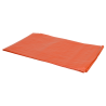 Konvox Bâche 100gr orange 2x3m